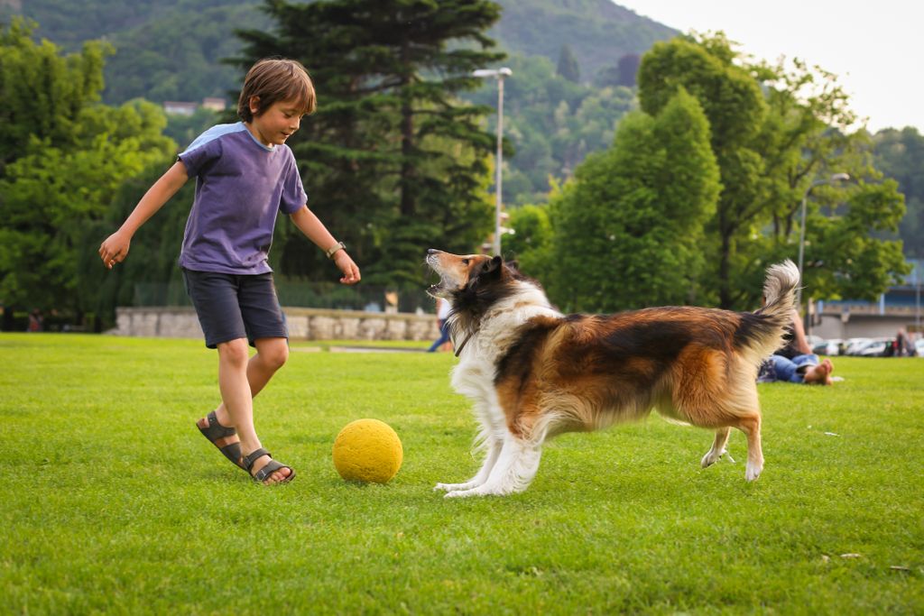 Boy playing soccer with a dog outdoors